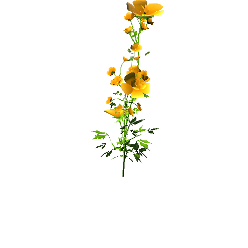 Flowers01_Yellow 2